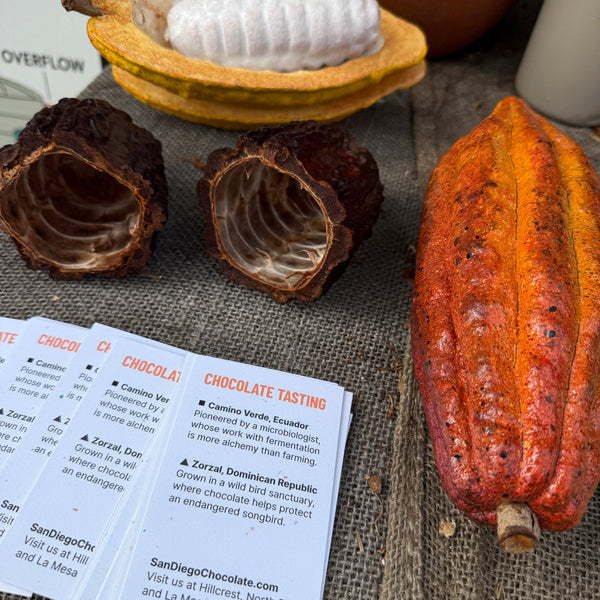 Chocolate tasting and classes